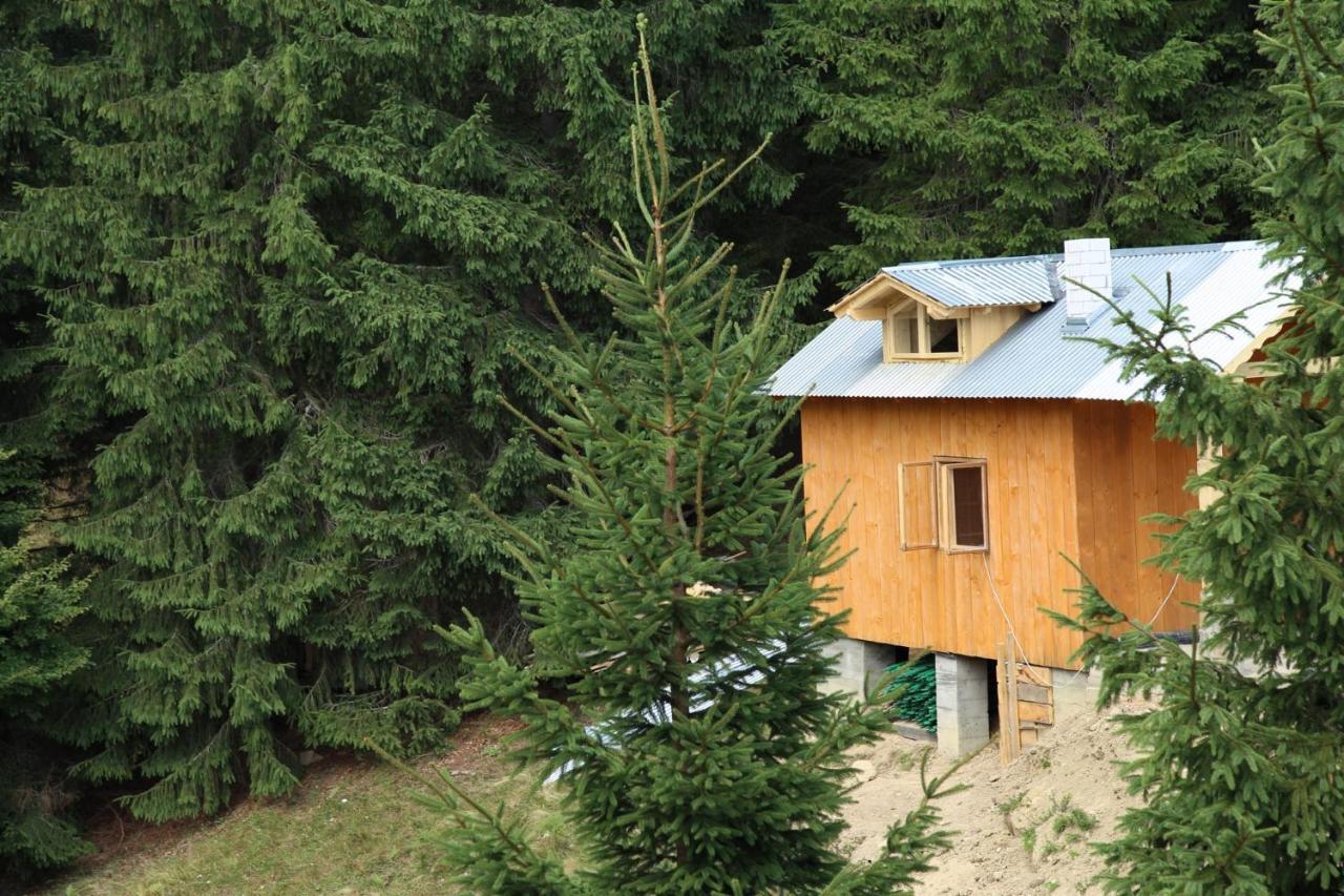 дзен хата Holiday home *