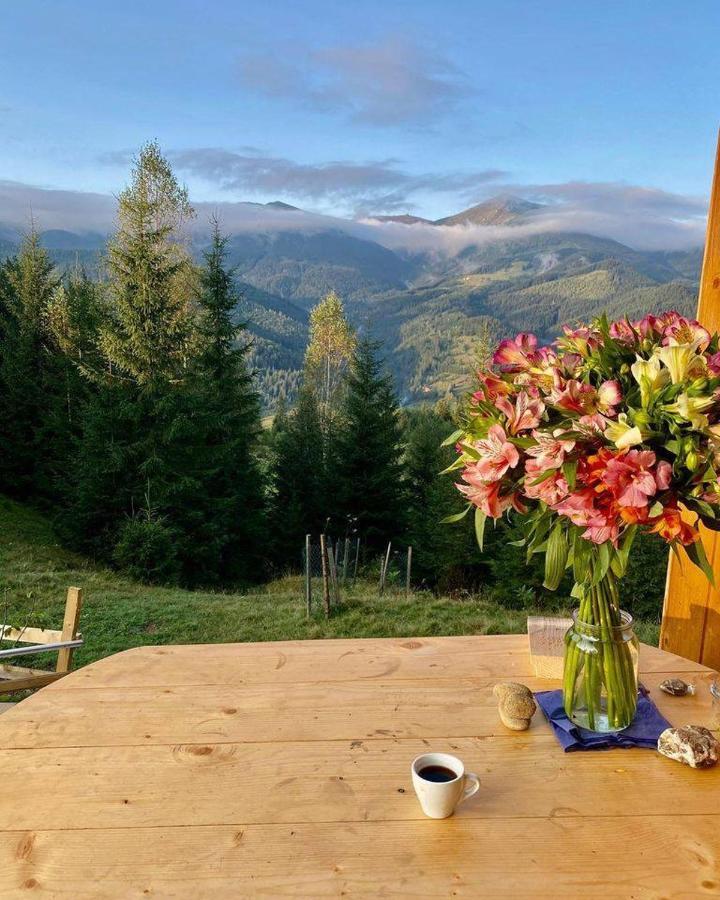 дзен хата Holiday home *